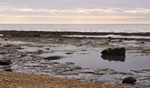 Excavating at Charmouth