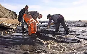Excavating at Charmouth