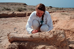 Abu Dhabi Gallery: Excavations, Abu Dhabi