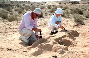 Excavations, Abu Dhabi