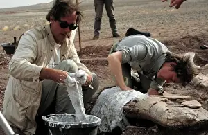Palaeontologist Prints: Excavations, Niger