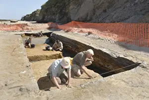 Excavations, Norfolk 2006
