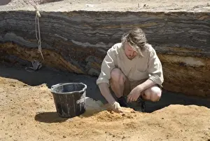 Excavations, Norfolk 2006
