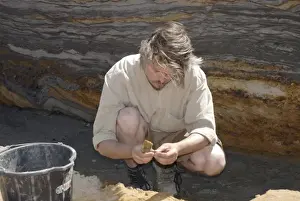 Excavations, Norfolk 2006