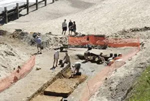 Excavations, Norfolk 2006