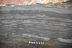 Excavations, Norfolk 2006