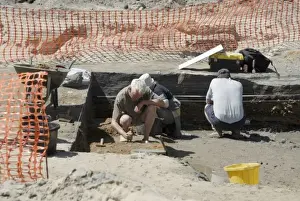 Excavations, Norfolk 2006
