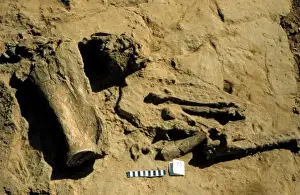 Excavations, Pakistan