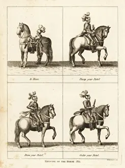 Exercise of the horse