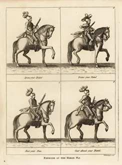 Exercise of the horse