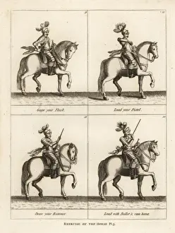 Exercise of the horse