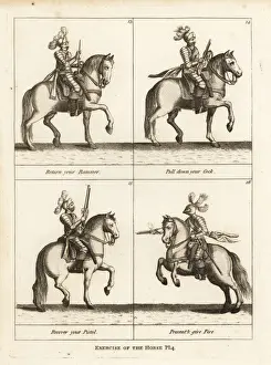 Exercise of the horse