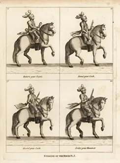 Exercise of the horse