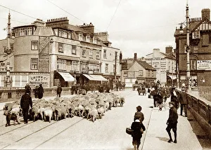 Exeter Exe Bridge early 1900s