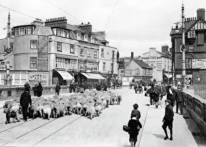 Exeter Exe Bridge early 1900s