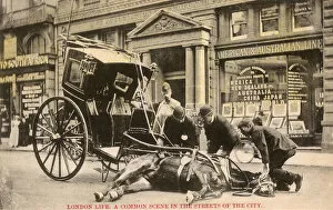 An exhausted cab horse - The Strand, London