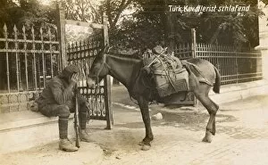 Exhausted Collection: Exhausted soldier and horse, Turkey