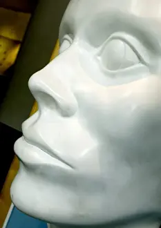 Exhibit from the Human Biology gallery