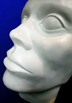 Exhibit from the Human Biology gallery