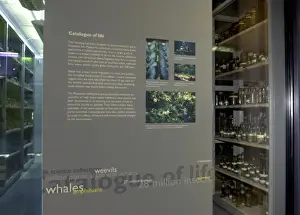 Exhibition panel on display in the Darwin Centre