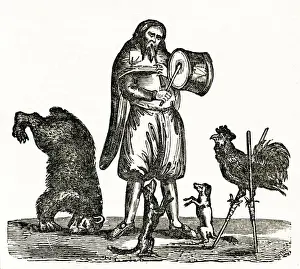 Bears Prints: Exhibition of trained animals