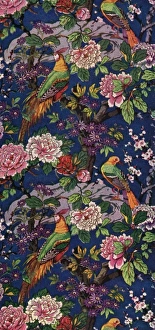 Images Dated 31st August 2012: Exotic birds amongst flowers