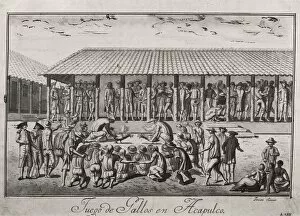 Viceroyalty Collection: Expedition of Malaspina. Acapulco. Cock fightings
