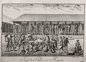 Viceroyalty Collection: Expedition of Malaspina. Acapulco. Cock fightings