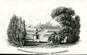 Images Dated 5th September 2017: Experienced Gardeners Recommended