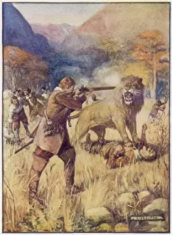 Explorers Meet Lion