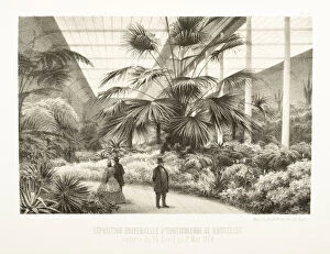 Images Dated 11th June 2014: Exposition Universelle d Horticulture Bruxelles, 1864
