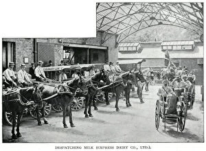 Images Dated 3rd June 2019: Express Dairy - despatching milk 1902