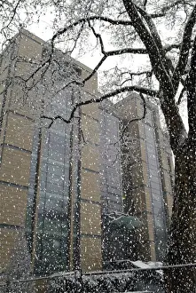 Exterior of the Darwin Centre