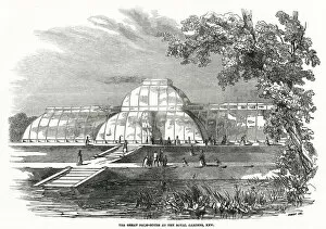 Images Dated 27th May 2021: Exterior of the Great Palm-House at Royal Gardens. Date: 1848
