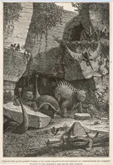 Extinct Animals 19C