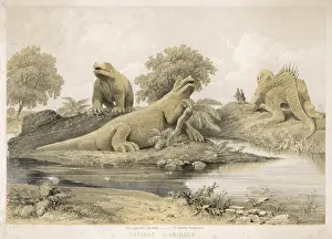 Splendid Prints: Extinct Animals Carved