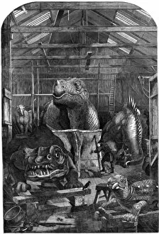 Allowed Collection: The Extinct Animals model-room at the Crystal Palace, Sydenh