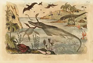 Naturelle Prints: Extinct dinosaurs, ichthyosaur, plesiosaur, pterodactyl, etc