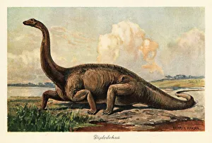 Plains Prints: Extinct Diplodocus longus on the plains
