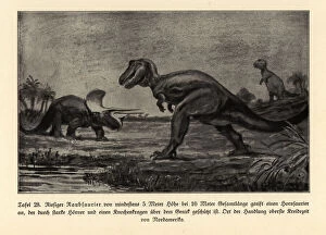 Extinct giant predatory dinosaur attacking a horned dinosaur