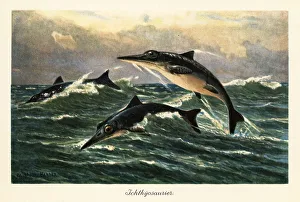 Extinct ichthyosaurs jumping above the ocean