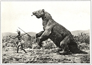 Extinct/Megatherium