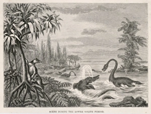 Extinct/Plesiosaurs