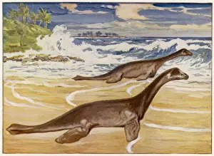 Extinct / Plesiosaurs