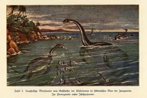 Images Dated 10th October 2019: Extinct Plesiosaurs and Ichthyosaur
