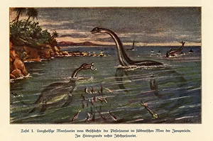 Images Dated 10th October 2019: Extinct Plesiosaurs and Ichthyosaur