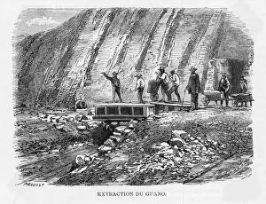 Extracting Prints: Extracting Guano / Peru