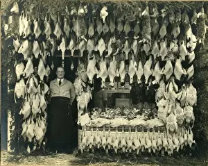 Splendid Prints: Extraordinary array of game and fish with local butcher