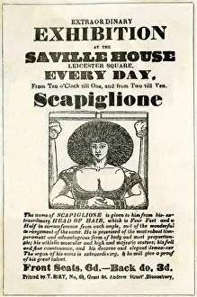Oddities Gallery: Extraordinary exhibition of Scapiglione