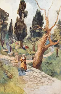 Ayub Prints: Eyoub Cemetary - Constantinople